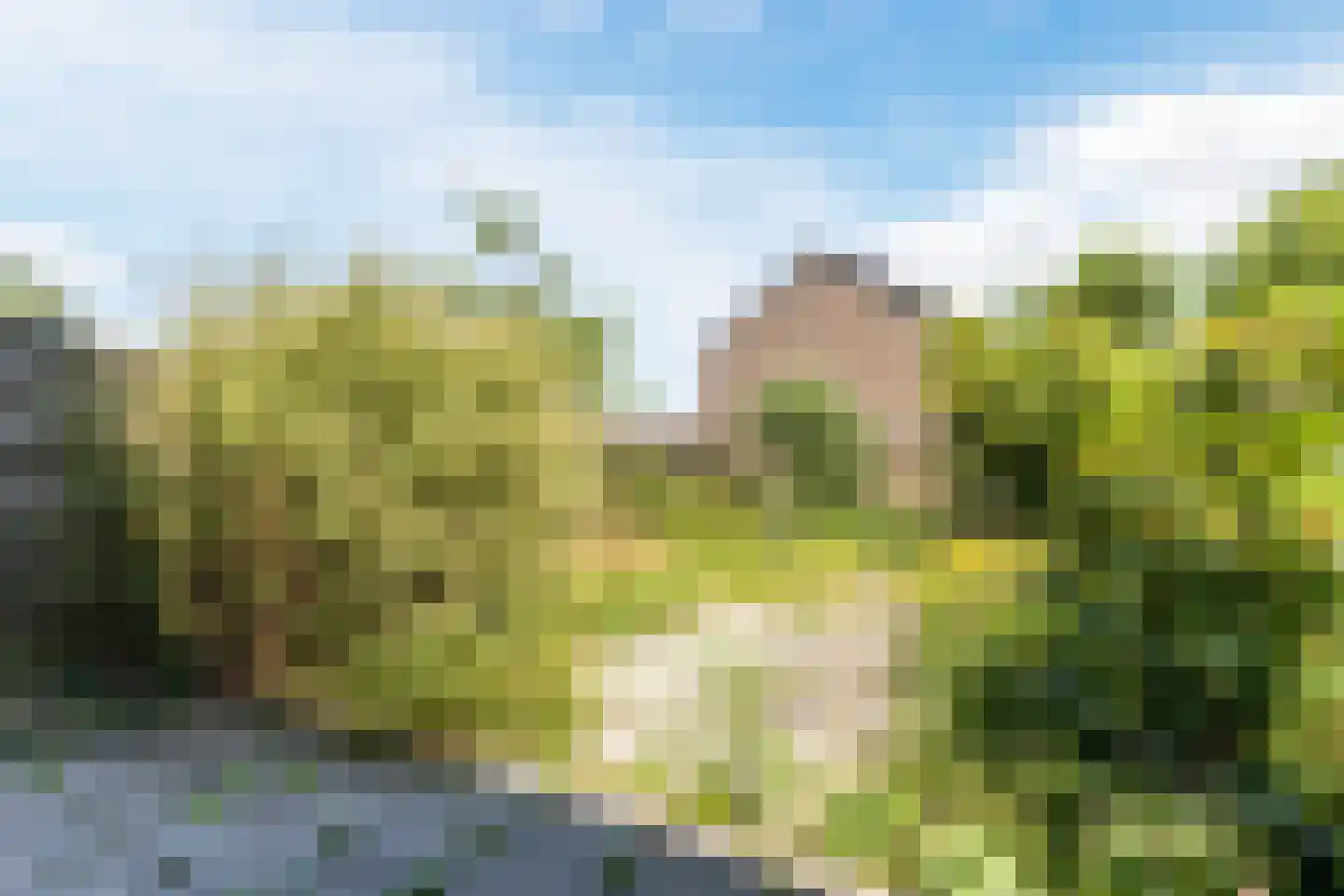 Meeuwdonk 53 Veghel thumbnail 24