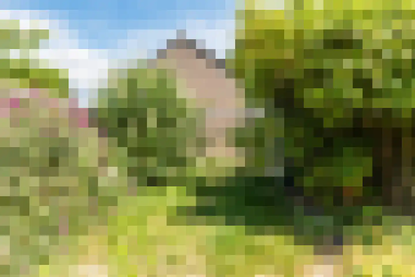 Meeuwdonk 53 Veghel thumbnail 25