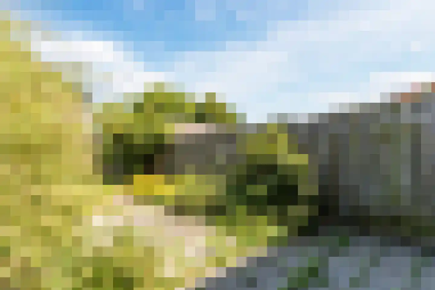 Meeuwdonk 53 Veghel thumbnail 26