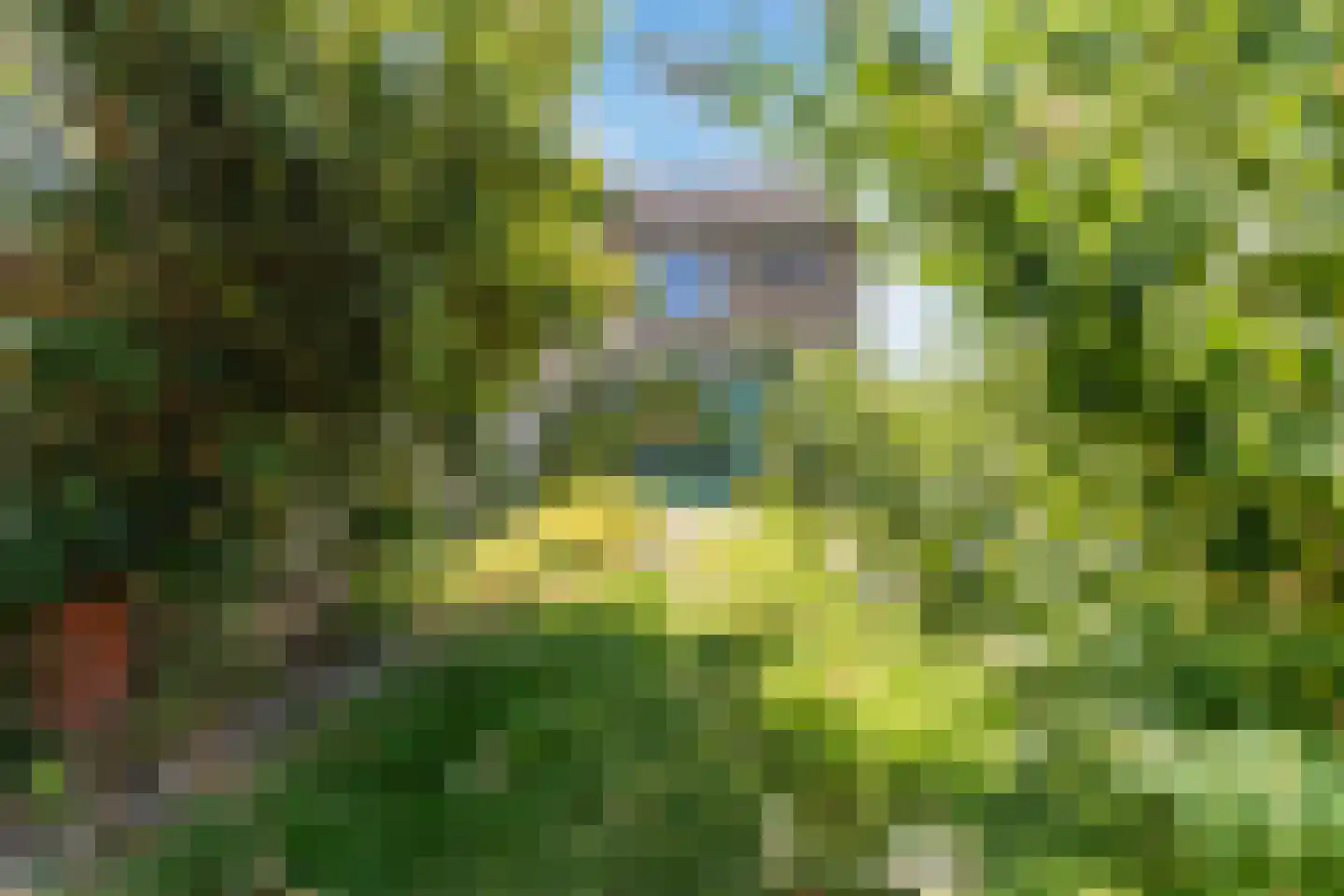 Meeuwdonk 53 Veghel thumbnail 27