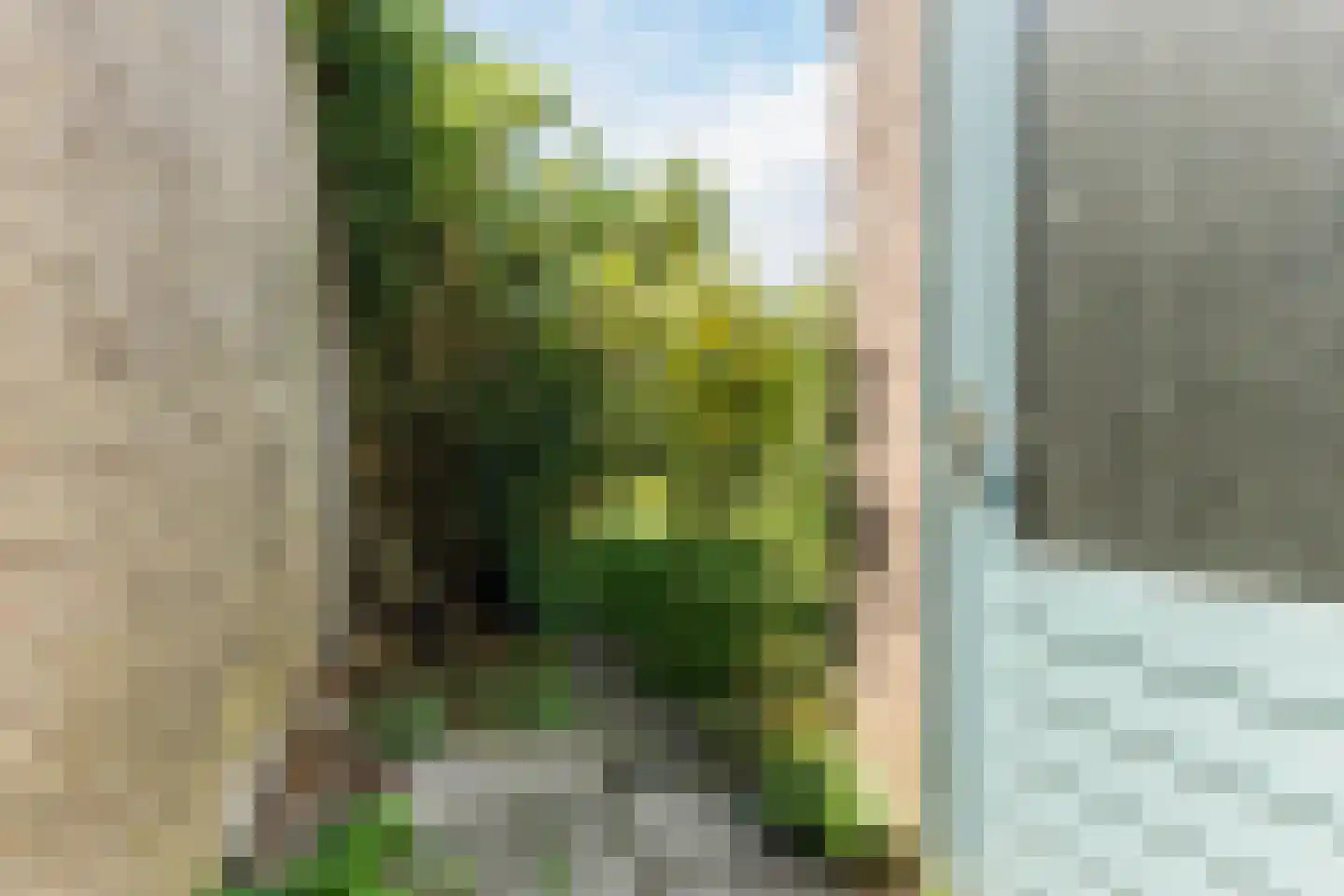 Meeuwdonk 53 Veghel thumbnail 29