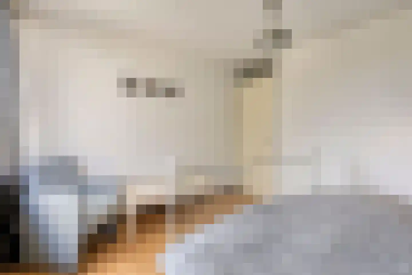 Meeuwdonk 82 Veghel thumbnail 14