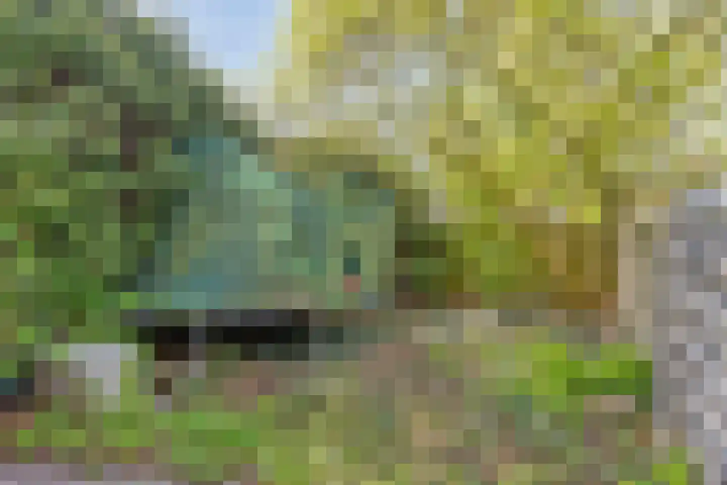 Meeuwdonk 82 Veghel thumbnail 23