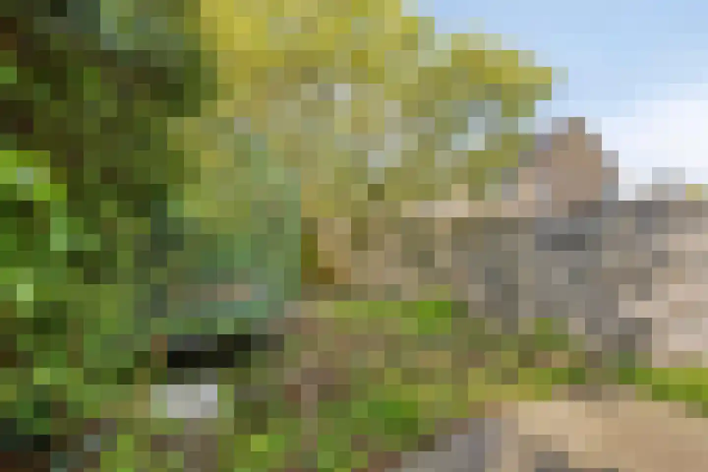 Meeuwdonk 82 Veghel thumbnail 24
