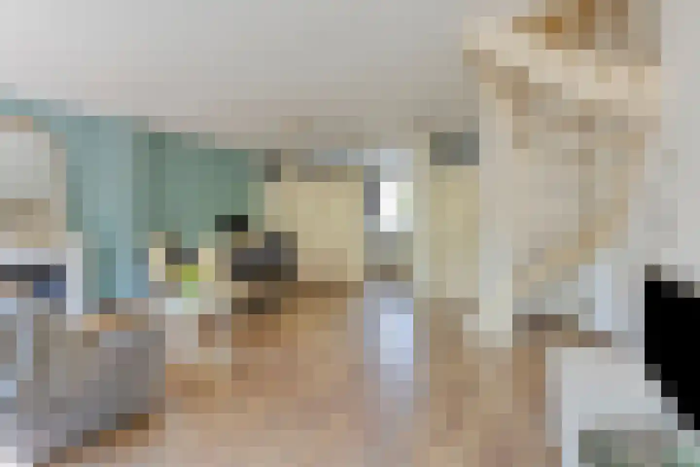 Meeuwdonk 82 Veghel thumbnail 5