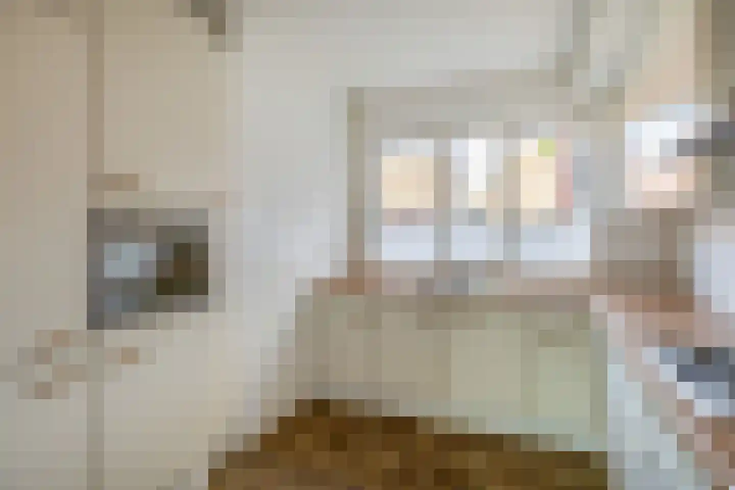 Meeuwenhoek 18 Spijkenisse thumbnail 15