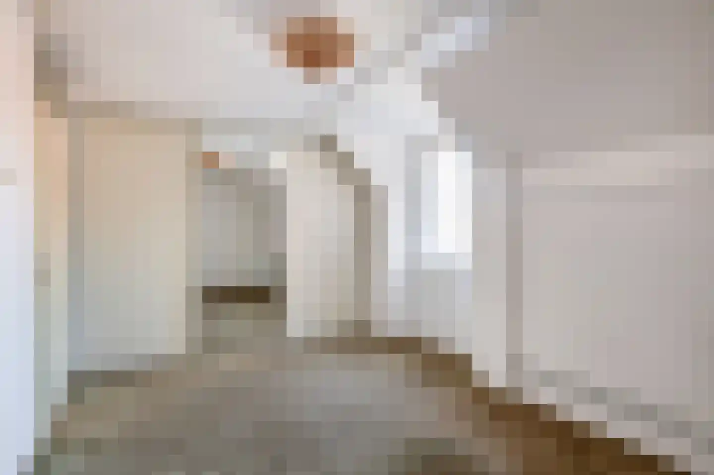 Meeuwenhoek 18 Spijkenisse thumbnail 20
