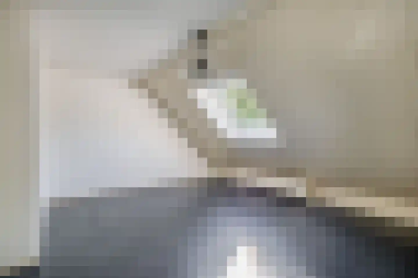 Meeuwenhoek 18 Spijkenisse thumbnail 22