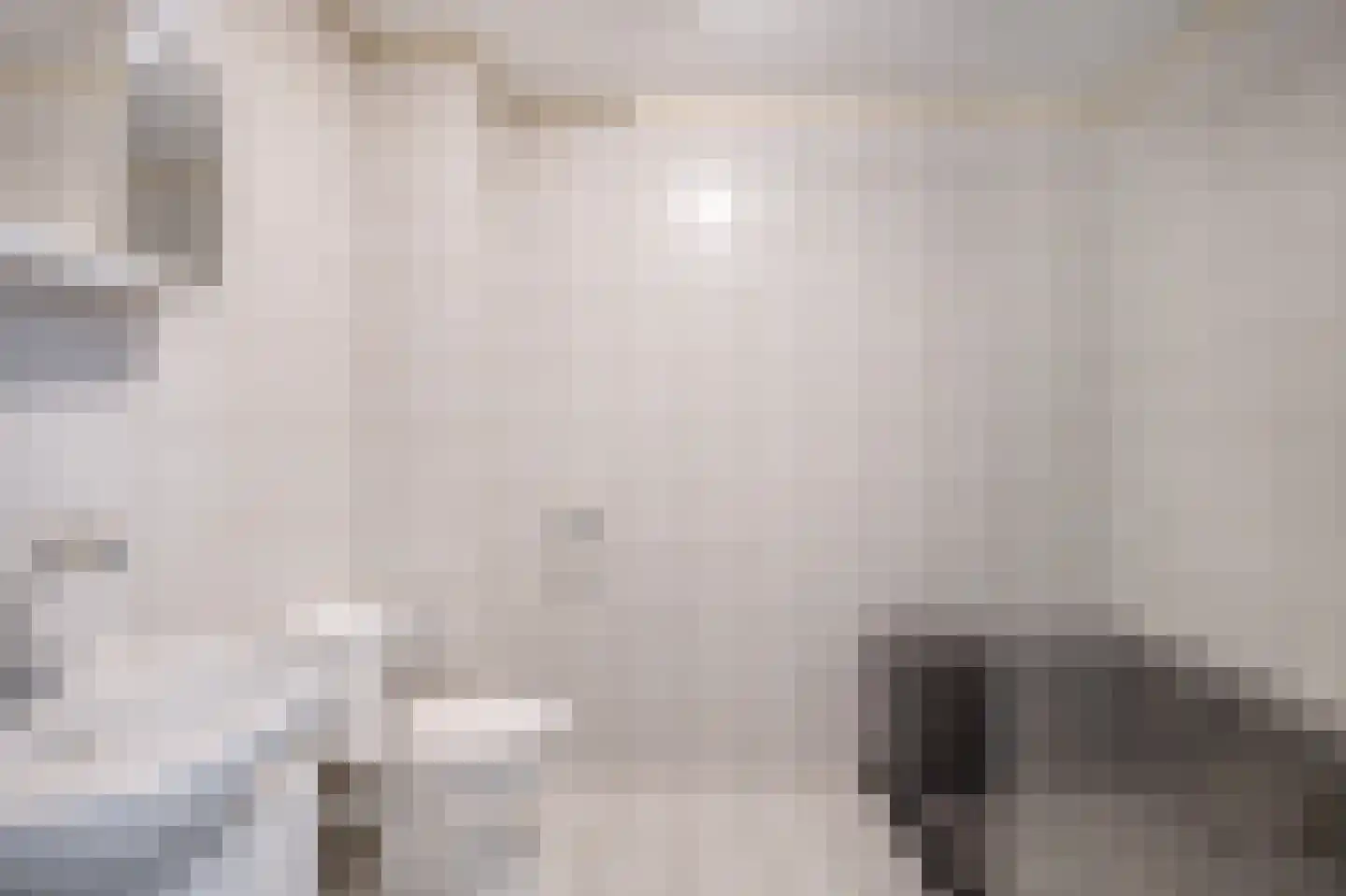 Meeuwenhoek 18 Spijkenisse thumbnail 24