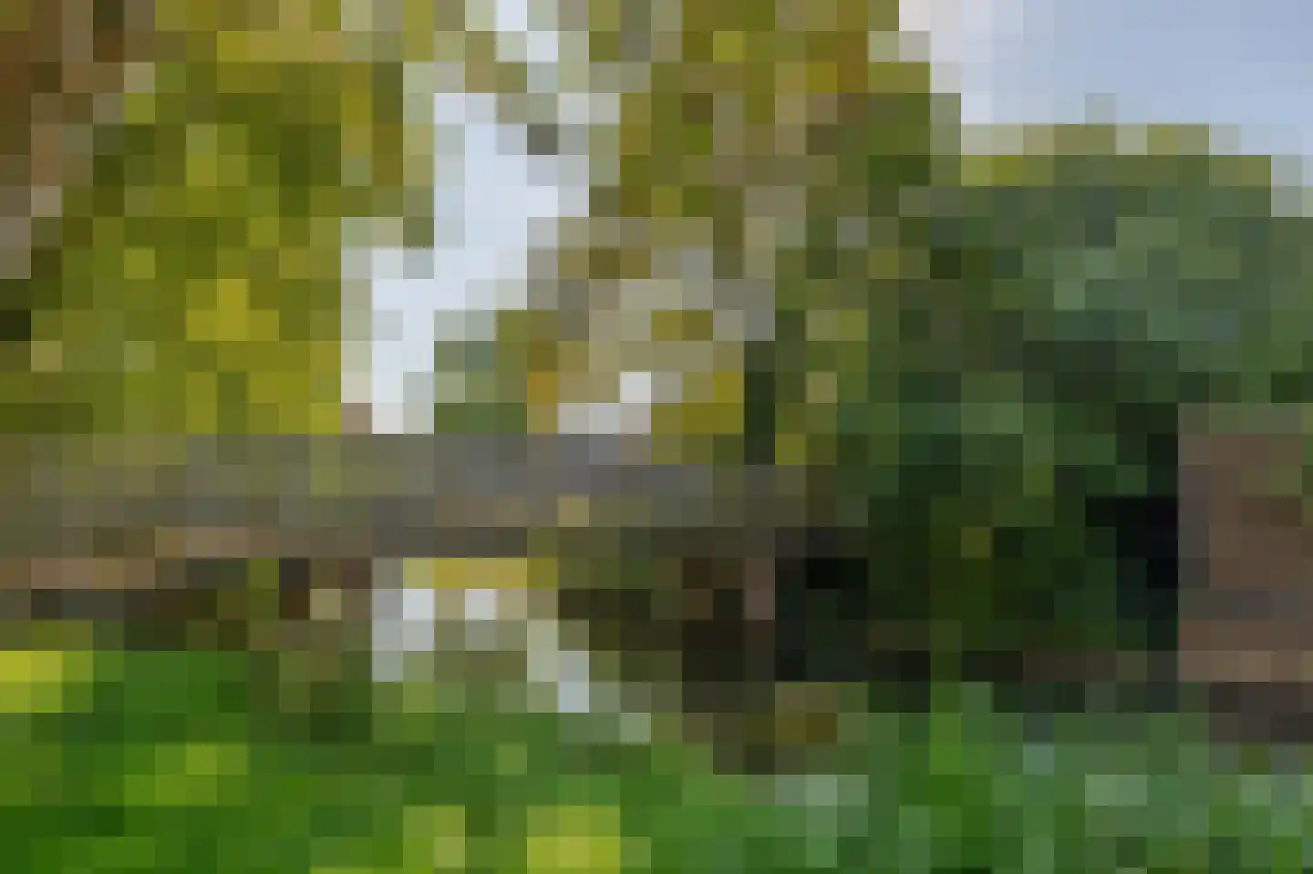 Meeuwenhoek 18 Spijkenisse thumbnail 33