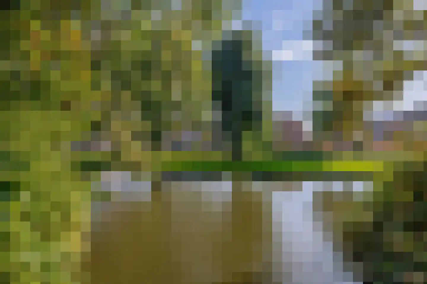 Meeuwenhoek 18 Spijkenisse thumbnail 35