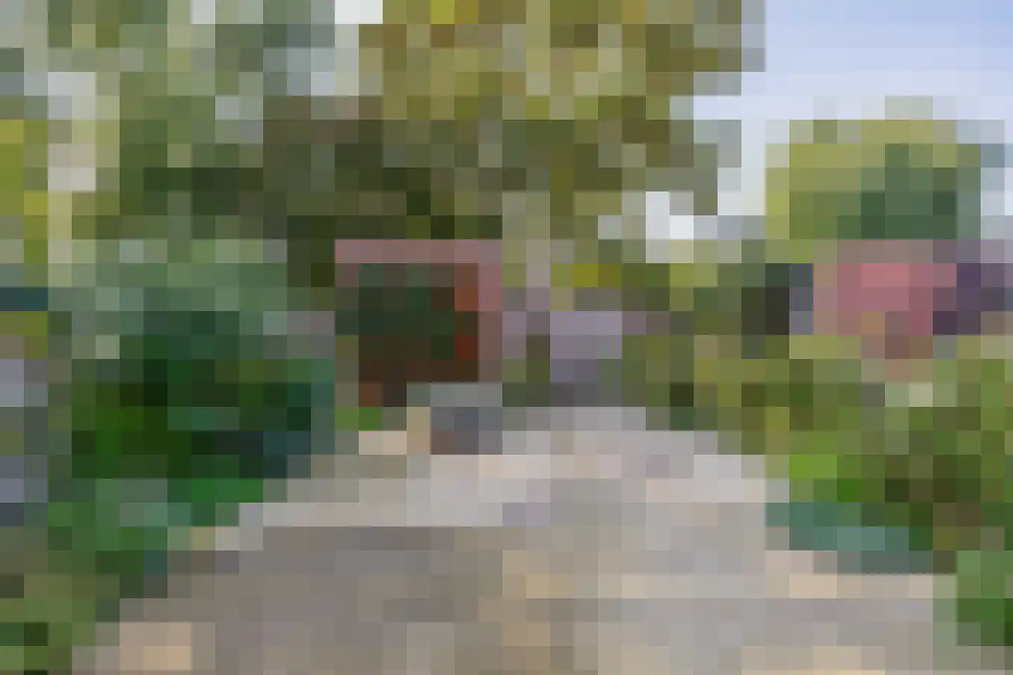 Meeuwenhoek 18 Spijkenisse thumbnail 5
