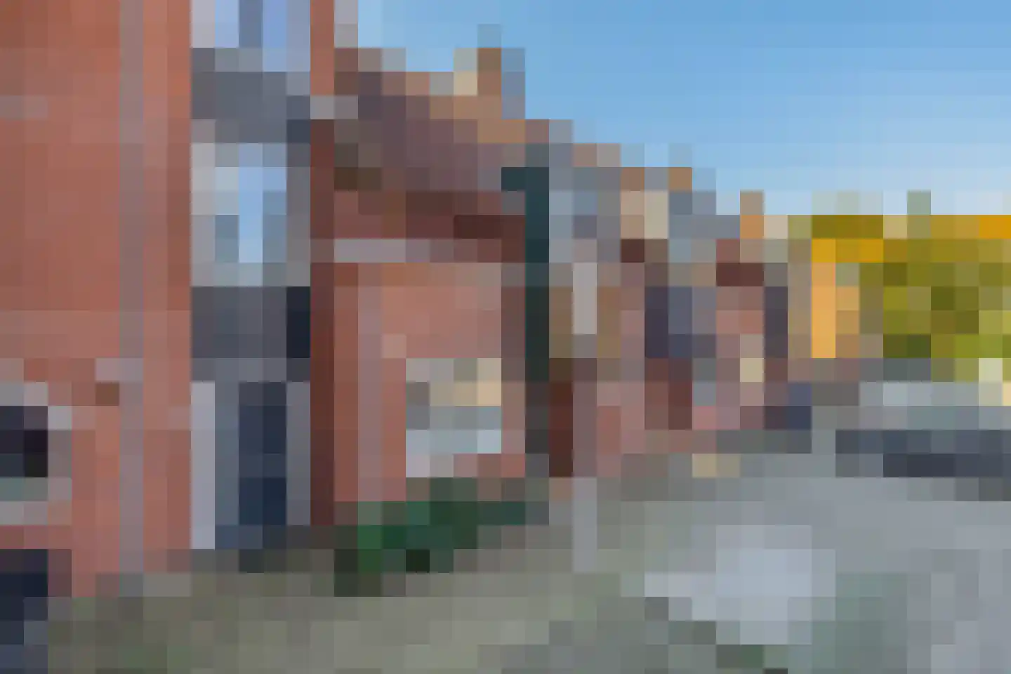 Meeuwenhoek 18 Spijkenisse thumbnail 6