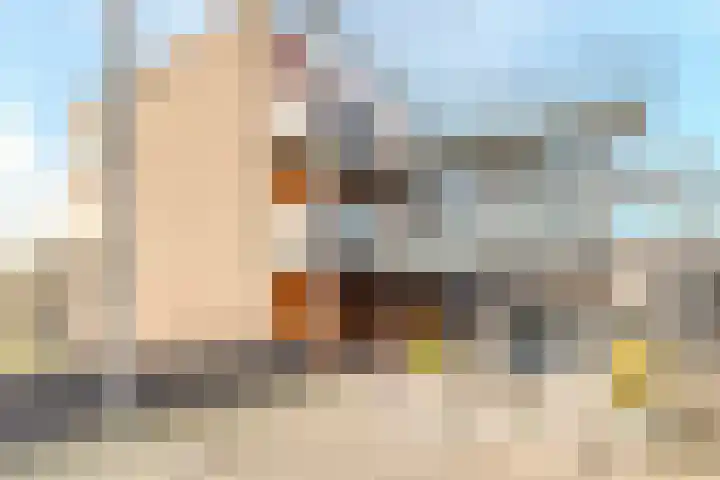Meeuwenhof 20 Geldrop thumbnail 12