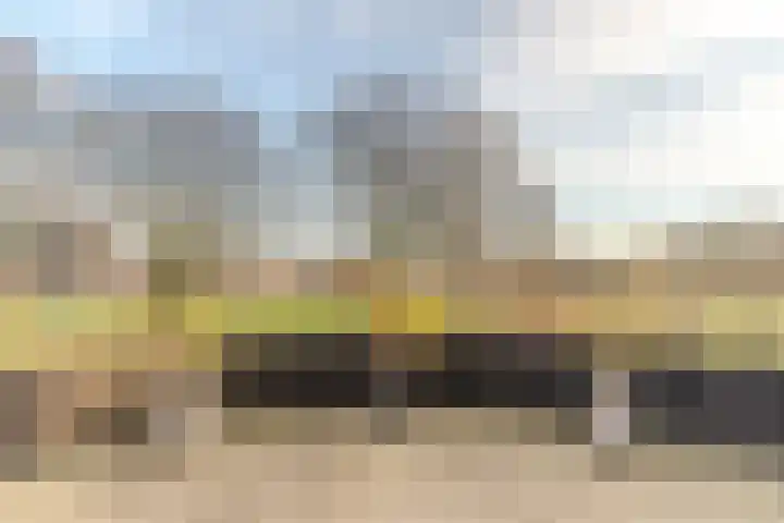 Meeuwenhof 20 Geldrop thumbnail 14