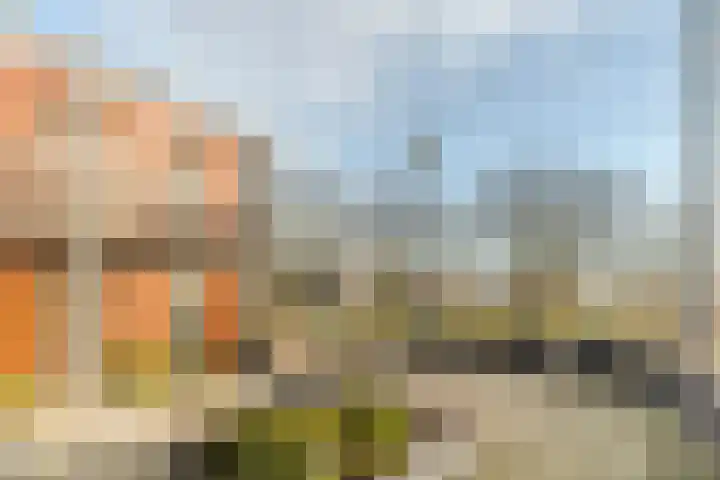 Meeuwenhof 20 Geldrop thumbnail 15