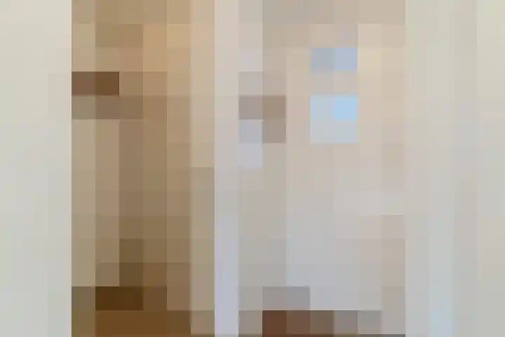 Meeuwenhof 20 Geldrop thumbnail 17