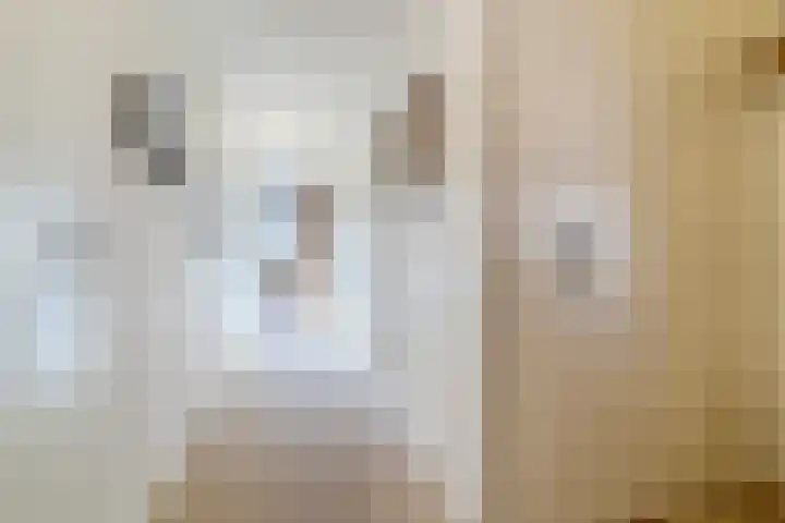 Meeuwenhof 20 Geldrop thumbnail 19