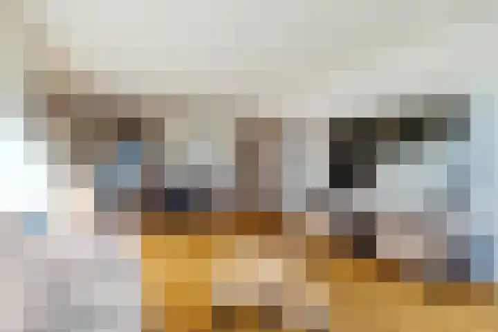 Meeuwenhof 20 Geldrop thumbnail 20