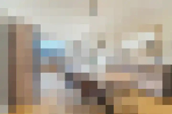 Meeuwenhof 20 Geldrop thumbnail 25