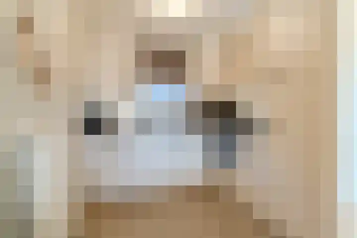Meeuwenhof 20 Geldrop thumbnail 27