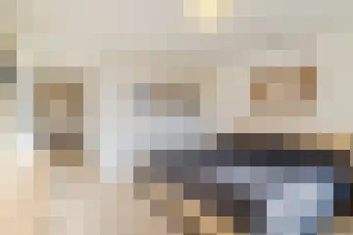 Meeuwenhof 20 Geldrop thumbnail 29