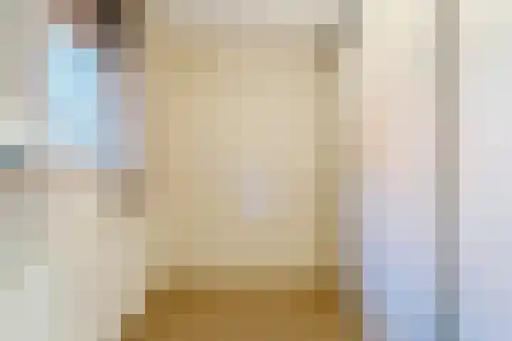 Meeuwenhof 20 Geldrop thumbnail 31