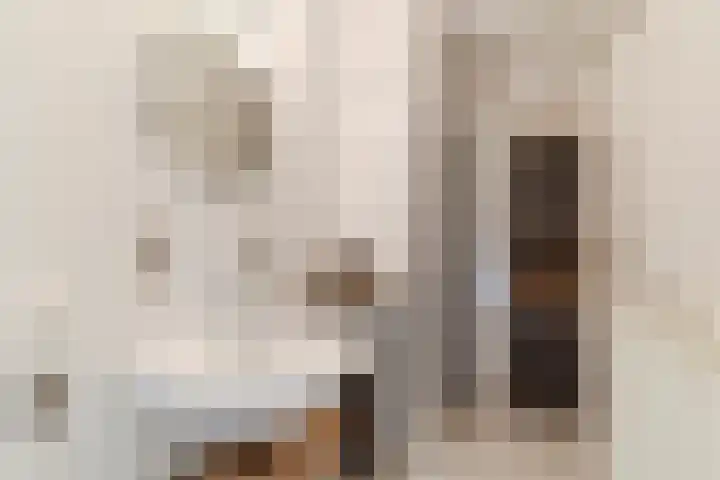 Meeuwenhof 20 Geldrop thumbnail 34