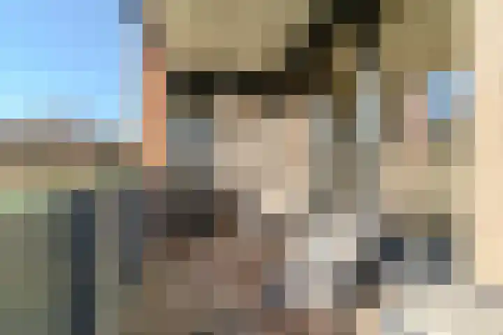 Meeuwenhof 20 Geldrop thumbnail 36