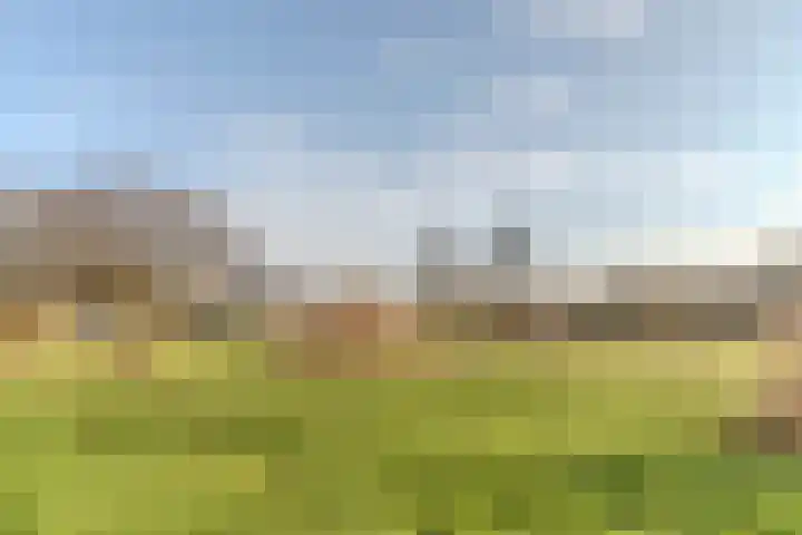 Meeuwenhof 20 Geldrop thumbnail 37