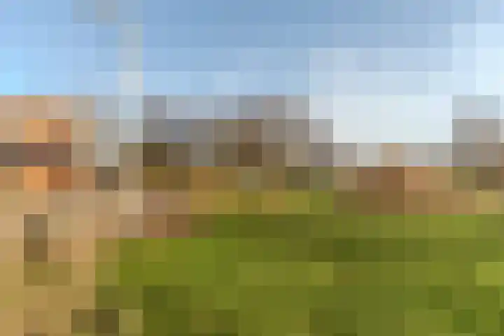 Meeuwenhof 20 Geldrop thumbnail 38