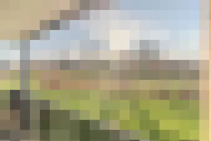 Meeuwenhof 20 Geldrop thumbnail 39