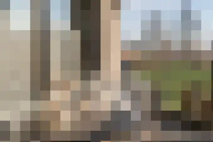 Meeuwenhof 20 Geldrop thumbnail 40