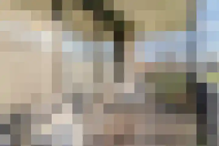 Meeuwenhof 20 Geldrop thumbnail 41