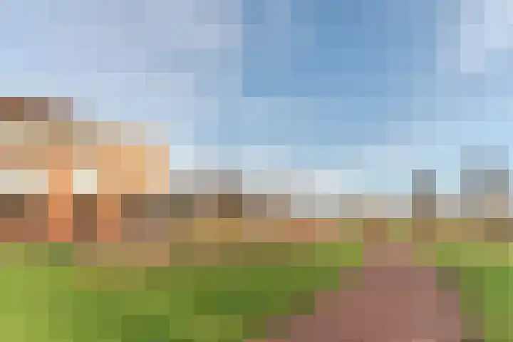 Meeuwenhof 20 Geldrop thumbnail 42