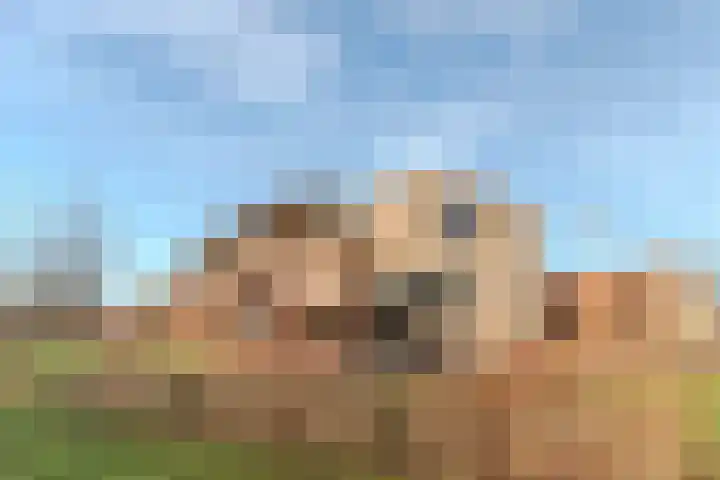 Meeuwenhof 20 Geldrop thumbnail 44