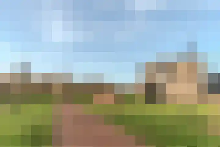 Meeuwenhof 20 Geldrop thumbnail 48