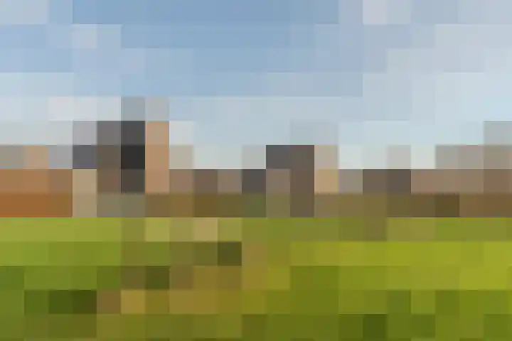 Meeuwenhof 20 Geldrop thumbnail 49