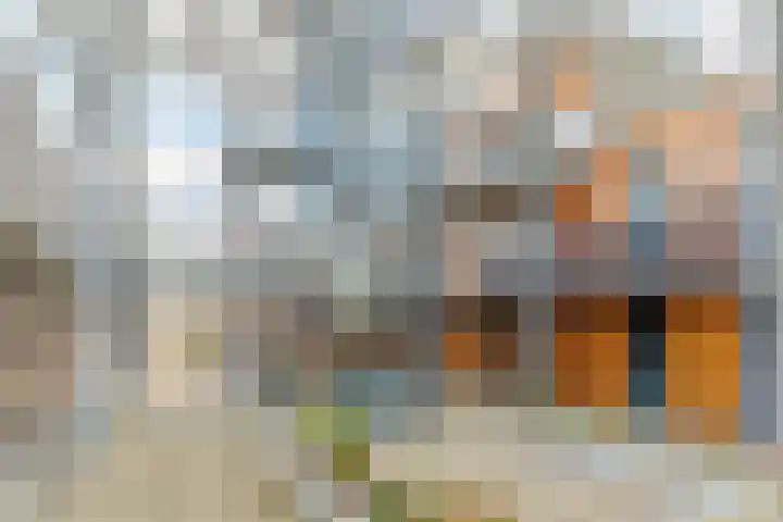 Meeuwenhof 20 Geldrop thumbnail 7