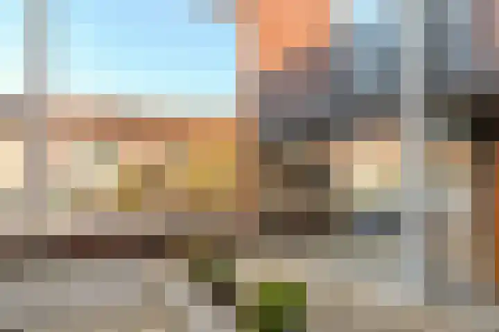 Meeuwenhof 20 Geldrop thumbnail 8
