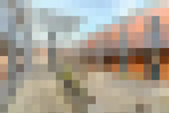 Meeuwenhof 20 Geldrop thumbnail 9