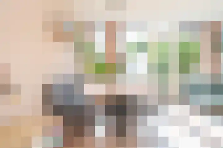 Meeuwenlaan 103 Zwolle thumbnail 10