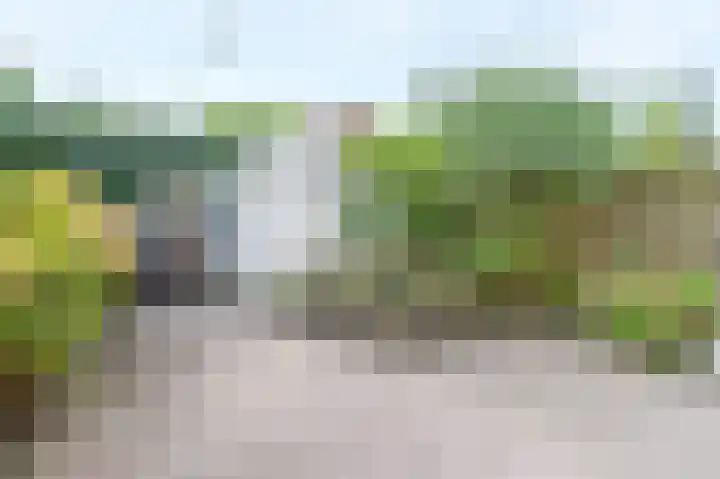 Meeuwenlaan 103 Zwolle thumbnail 12