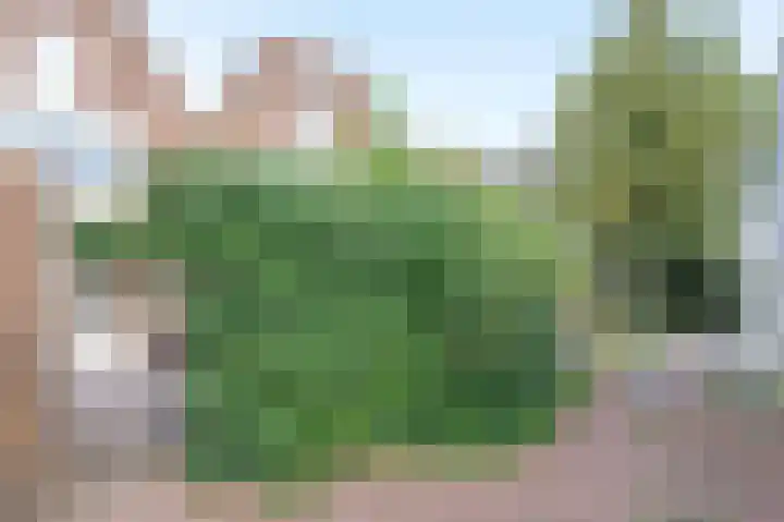 Meeuwenlaan 103 Zwolle thumbnail 13