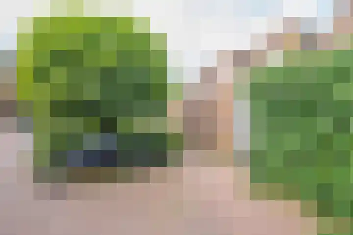 Meeuwenlaan 103 Zwolle thumbnail 14