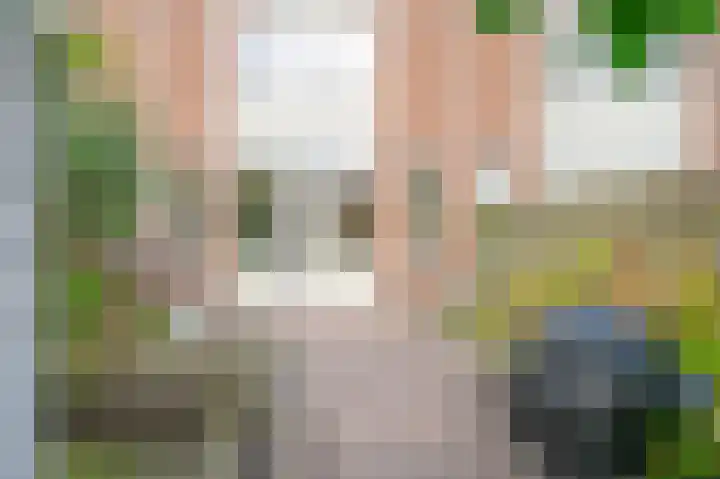 Meeuwenlaan 103 Zwolle thumbnail 15