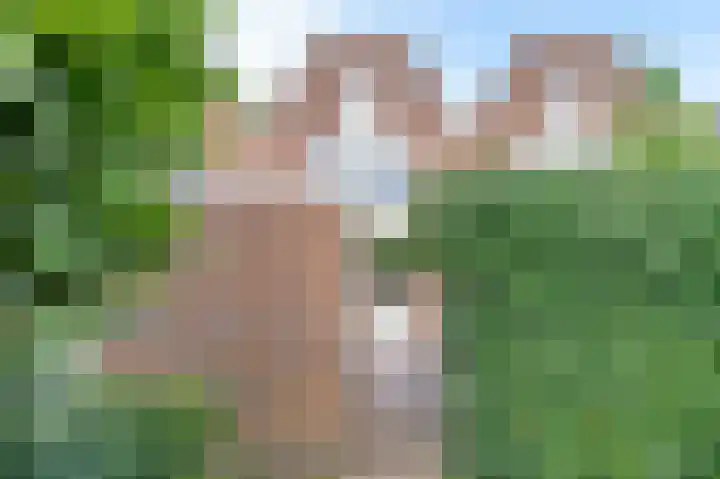 Meeuwenlaan 103 Zwolle thumbnail 16