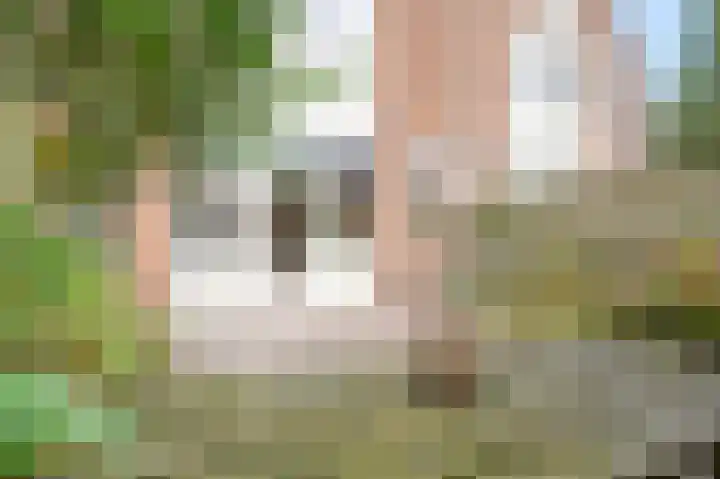 Meeuwenlaan 103 Zwolle thumbnail 17