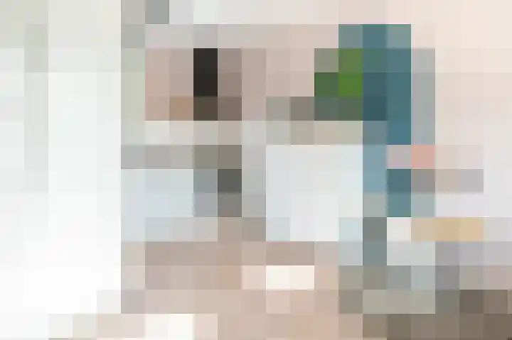 Meeuwenlaan 103 Zwolle thumbnail 18