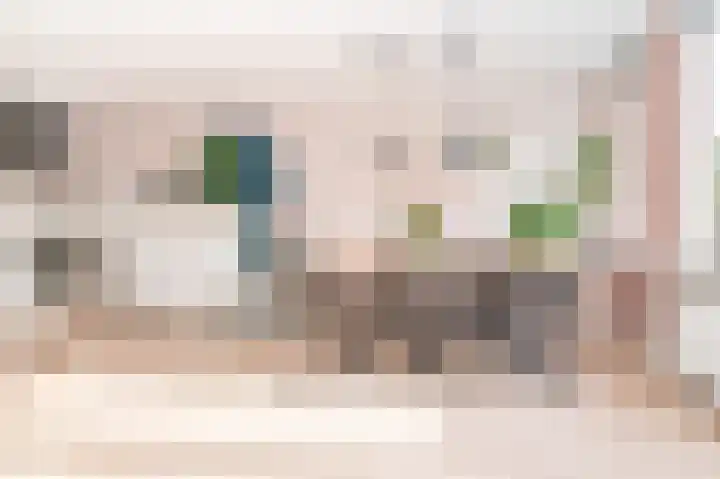 Meeuwenlaan 103 Zwolle thumbnail 19